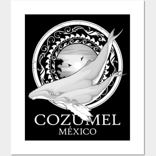 Humpback Whales Cozumel Mexico Posters and Art